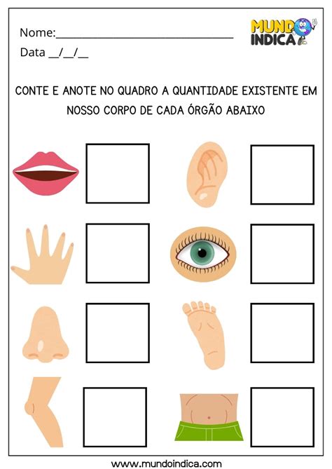 Atividades Sobre O Corpo Humano