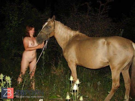 Hengst Und Stute ZB Porn