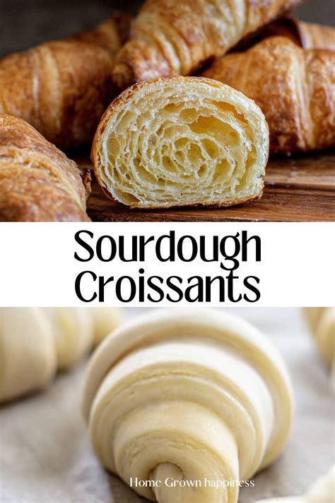 Best 13 Detroit Style Pizza with Sourdough Crust – Artofit