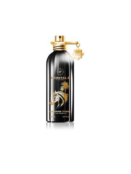 Montale Arabians Tonka | lupon.gov.ph