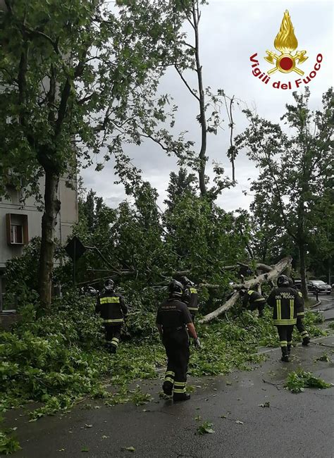 Maltempo Modena Grandine E Un Albero Caduto Sulla Strada