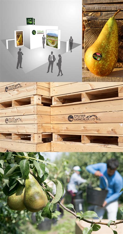 Tal Cual Ideas — Moncalvillo