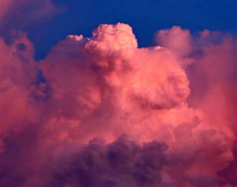 pink clouds  stock photo