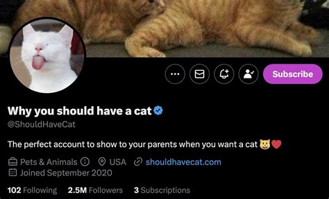 aimée on Twitter Does anyone know what the fuck subscribing to a twitter account is Since