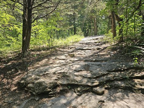"Uncover the Natural Wonders of Rock Bridge Memorial State Park: A