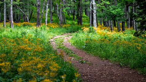 Struggling with Social Distancing? Get Outside, Experts Say | College ...