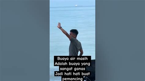 Buaya Laut Short Buayabesar Buayamuara Youtube