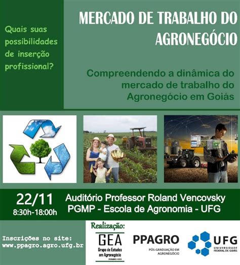 Semin Rio Mercado De Trabalho No Agroneg Cio Ufg Universidade