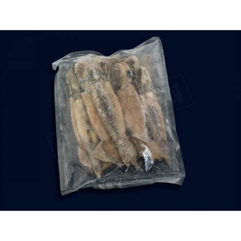 SALTY DOG Squid - Frozen Fishing Bait 1kg