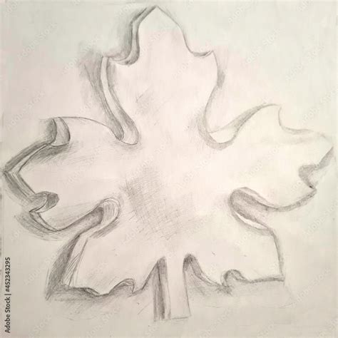 maple leaf pencil sketch, three-dimensional drawing with shadows and ...