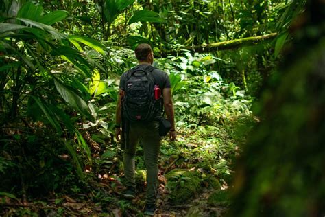 Ecoturismo A Import Ncia De Experiment Lo