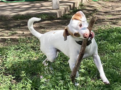 Walk Softly And Carry A Big Stick 13