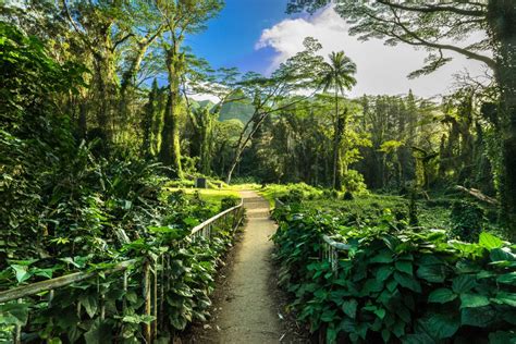 10 Best Waterfall Hikes On Oahu The Hikers Guide