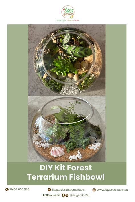 Buy Diy Kit Fishbowl Forest Closed Terrarium Lilas Garden
