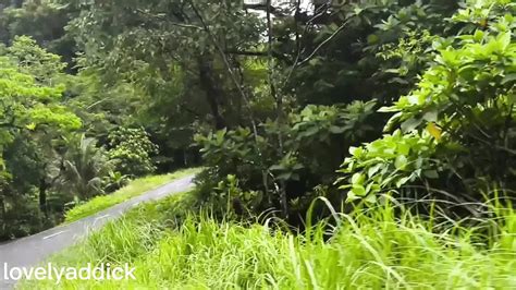 Fitri Kencing Lagi Outdoor Piss Free Hd Porn E Xhamster