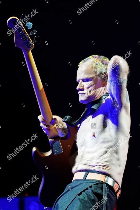Flea Red Hot Chili Peppers Performs Editorial Stock Photo Stock Image Shutterstock