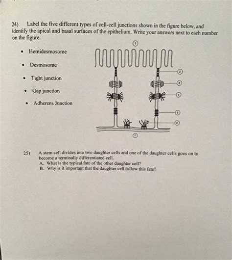 Solved 24) Label the five different types of cell-cell | Chegg.com