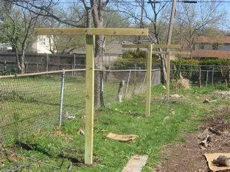 How To Make A Kiwi Trellis Design Talk