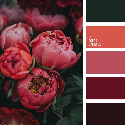 вишневый цвет | IN COLOR BALANCE