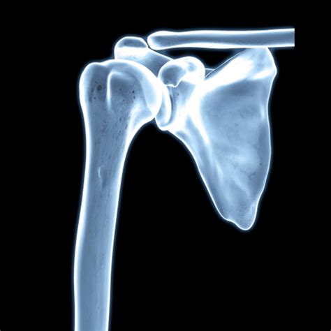 shoulder  practice health tv