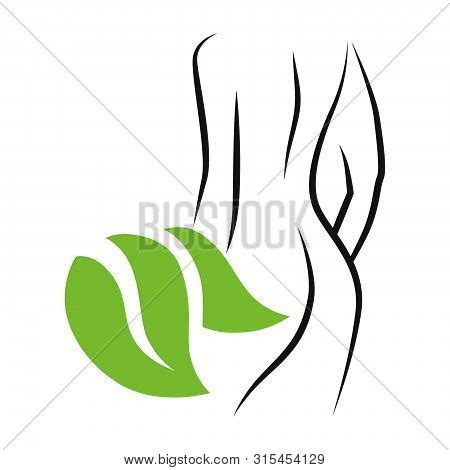 Naked Woman Body Vector Photo Free Trial Bigstock