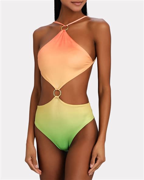 Baobab Kira Cut Out Ombré One Piece Swimsuit Intermix®