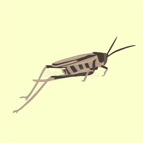 Grasshopper Science Diagram Stock Illustrations 27 Grasshopper