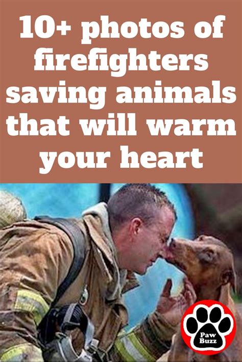 Heartwarming Photos Of Firefighters Saving Animals