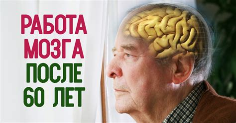 Головной мозг пожилого человека