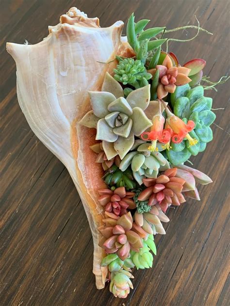 Top 5 Diy Succulent Planter Ideas Leaf And Clay