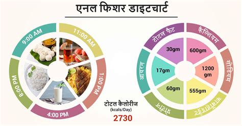 जन एनल फशर डइट चरट Anal Fissure Diet Chart in Hindi क फयद और नकसन