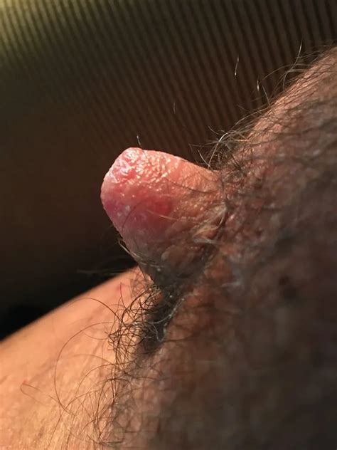 My Nips Nude Pics XHamster