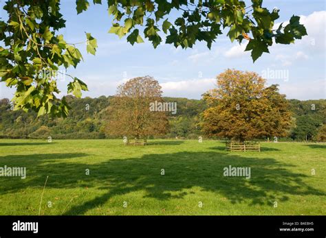 Berkshire Countryside in autumn Stock Photo - Alamy