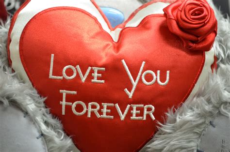 Love You Forever Free Stock Photo - Public Domain Pictures