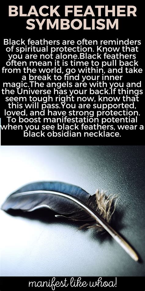 What Does It Mean When You Keep Seeing Black Feathers Color Magic For