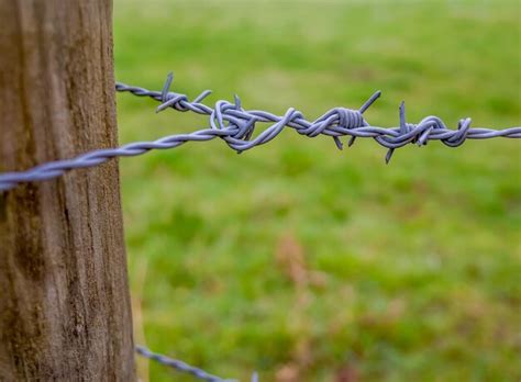 Premium Photo Close Up Of Barbed Wire Fence On Field