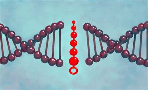 Born To Bottom Researchers Report Biological Correlations In Anal Sex Role In Gay Men