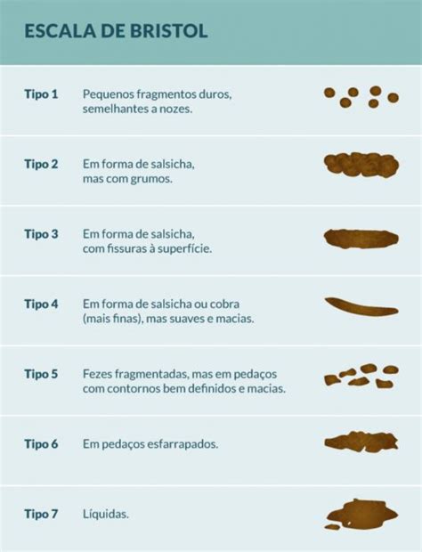 O Que O Formato Das Fezes Indica Haru Sa De Integrada