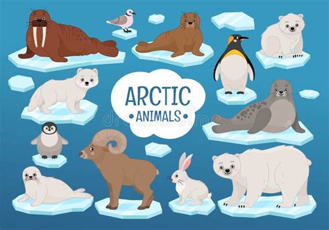 Arctic Animals Stock Illustrations – 12,954 Arctic Animals Stock ...