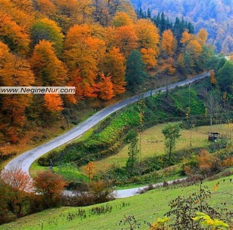 استان مازندران و آشنایی با شهرهای توریستی شمال نگین نور
