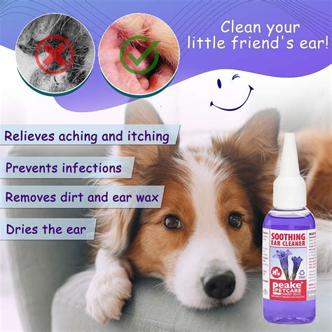 Ear Drops Dogs Mites at Beau Caffyn blog
