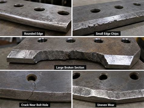 choose alligator shear blades  scrap metal cutting