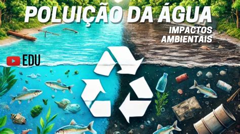 Como Evitar A Poluição - Como Evitar A Poluição Da água - REVOEDUCA
