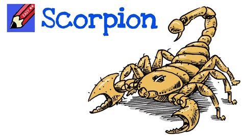 How To Draw A Realistic Scorpion Art For Kids Hub