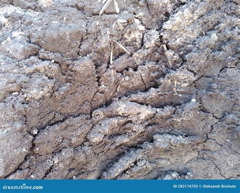 Disturbed Ground Soil Texture Stock Image Image Of Destruction