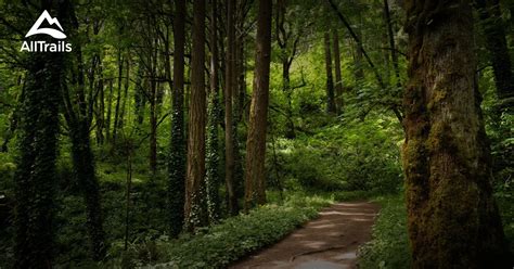 10 Best Hikes And Trails In Forest Park Alltrails