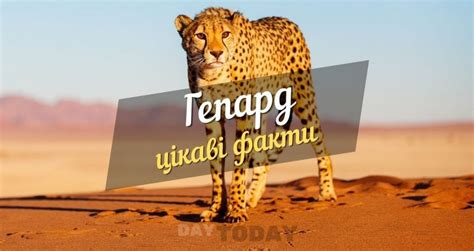 Міжнародний день гепарда (2025) - DAY TODAY