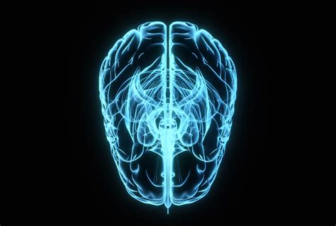 Autistic Women Do Indeed Enjoy Sex