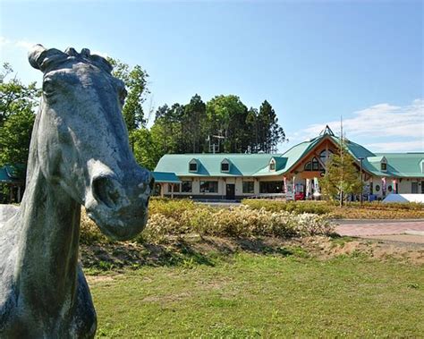 The 15 Best Things To Do In Misawa Updated 2023 Must See