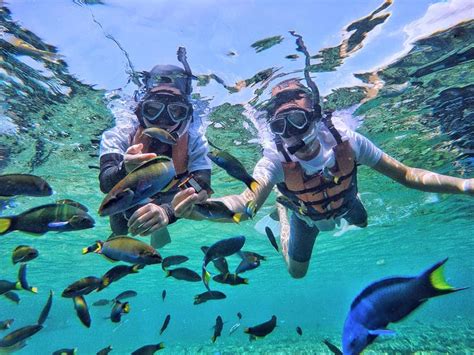 Menjelajah Surga Dunia Di Ujung Jepara Karimun Jawa Jalan Wisata